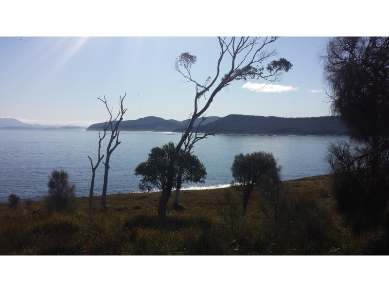 0 White Beach Road, White Beach TAS 7184