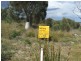 0 White Beach Road, White Beach TAS 7184