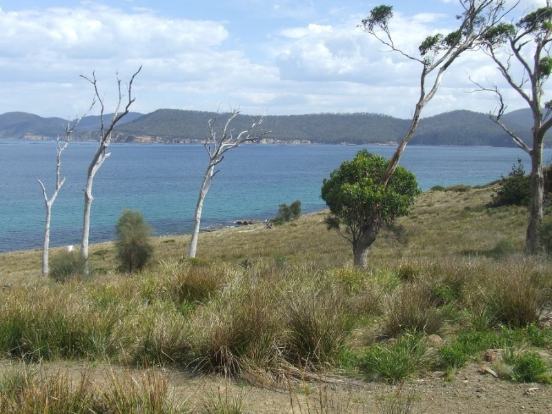 0 White Beach Road, White Beach TAS 7184