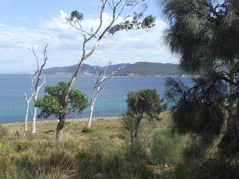 Lot 1 White Beach Road, White Beach TAS 7184