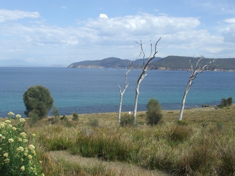 Lot 1 White Beach Road, White Beach TAS 7184