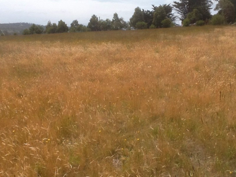 15 Colleen Crescent, Primrose Sands TAS 7173