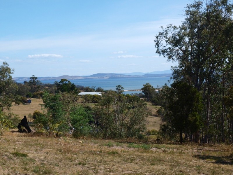 3 Grierson Drive, Forcett TAS 7173