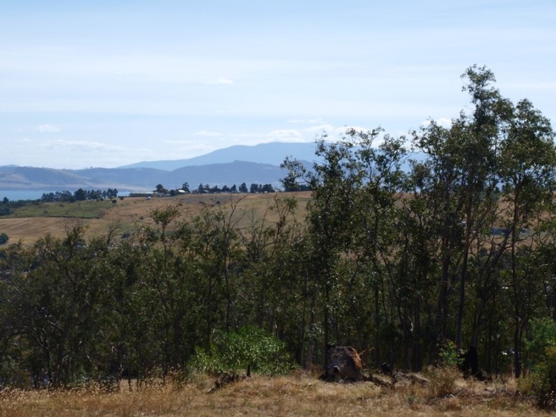 3 Grierson Drive, Forcett TAS 7173
