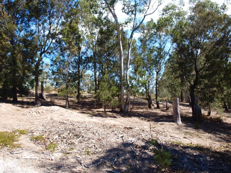 3 Grierson Drive, Forcett TAS 7173