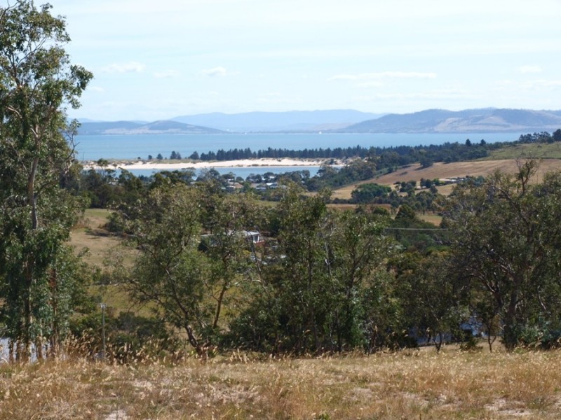 3 Grierson Drive, Forcett TAS 7173