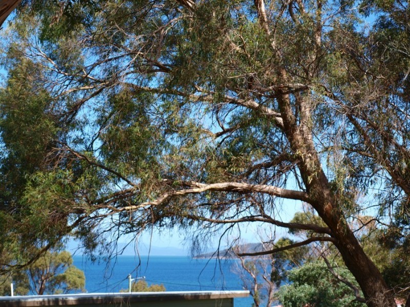 22 Broom Street, Primrose Sands TAS 7173