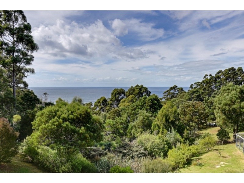 189 Pirates Bay Drive, Eaglehawk Neck TAS 7179