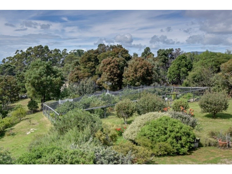 189 Pirates Bay Drive, Eaglehawk Neck TAS 7179