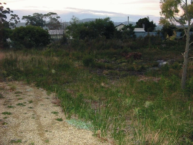 15 Olive Place, White Beach TAS 7184