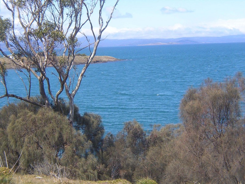 19 Linden Road, Primrose Sands TAS 7173