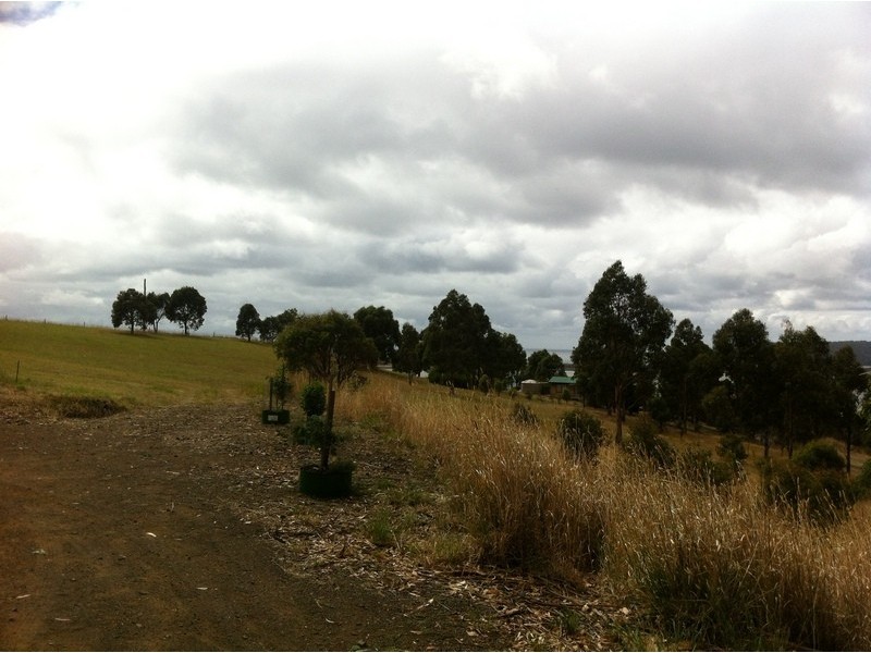 559C Bay Road, Marion Bay TAS 7175