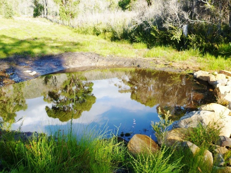 5329 Arthur Highway, Eaglehawk Neck TAS 7179
