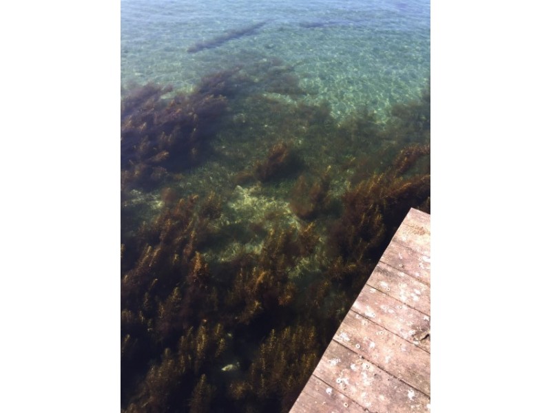 #60622 Boatshed – Crown Lease, Primrose Sands TAS 7173