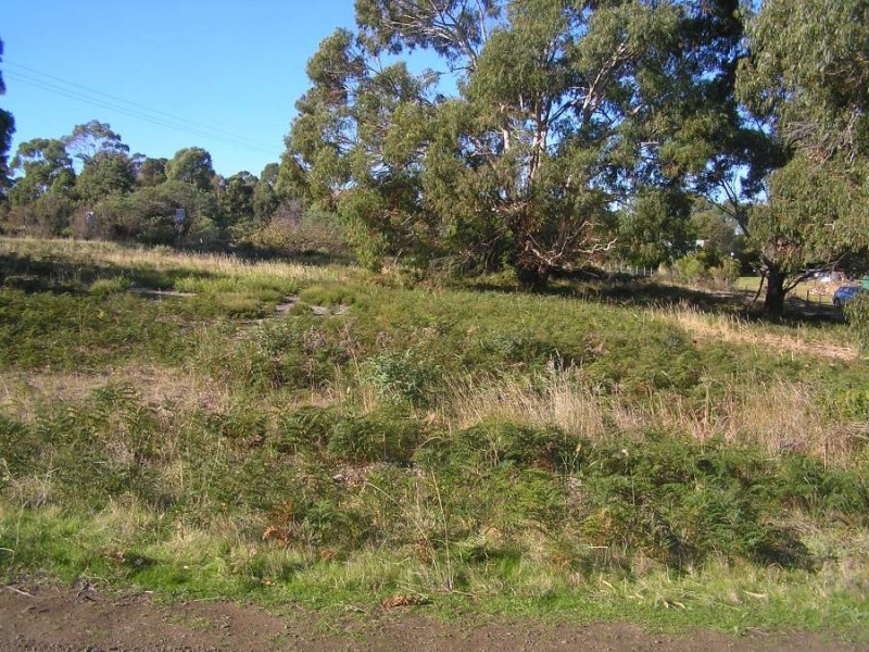 331 Carlton Beach Road, Carlton TAS 7173