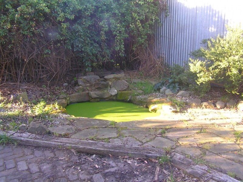 9 Plenar Street, Carlton TAS 7173