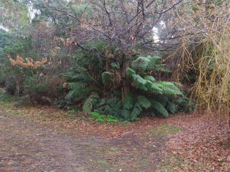 68 Old Jetty Road, Eaglehawk Neck TAS 7179