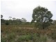 Carlton TAS 7173