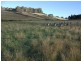 1416 Woodsdale Road, Levendale TAS 7120