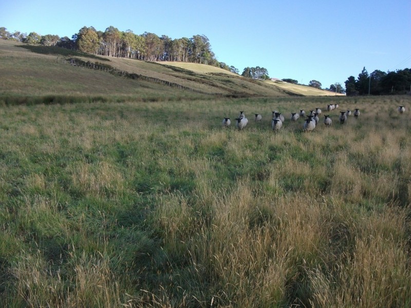 1416 Woodsdale Road, Levendale TAS 7120