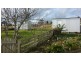 1416 Woodsdale Road, Levendale TAS 7120