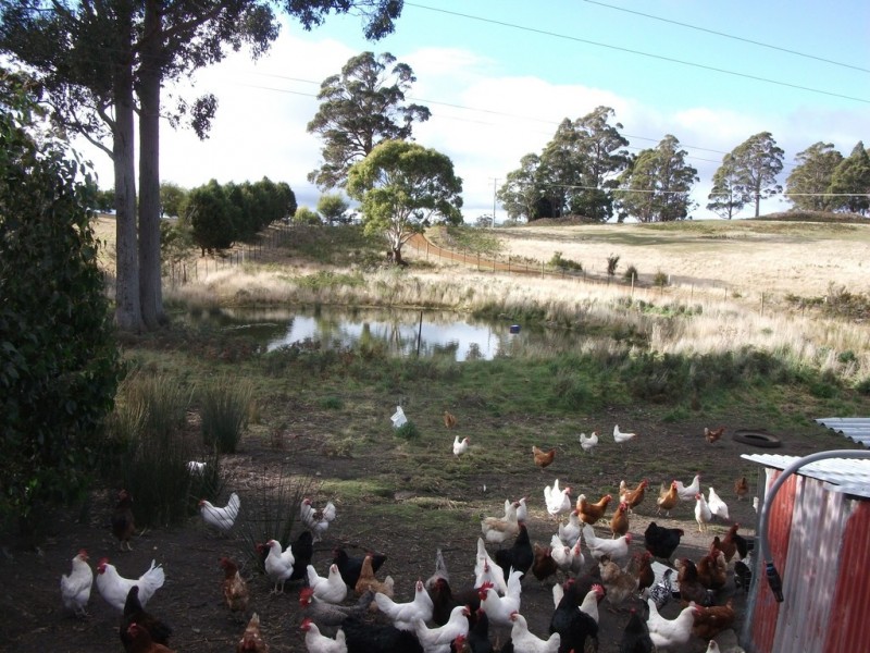 1416 Woodsdale Road, Levendale TAS 7120