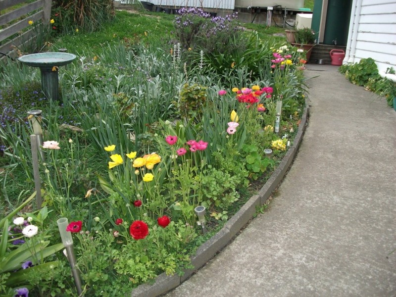 1416 Woodsdale Road, Levendale TAS 7120
