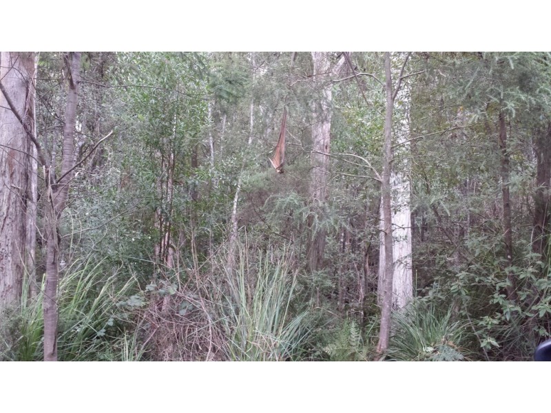 Lot 1 Arthur Highway, Port Arthur TAS 7182