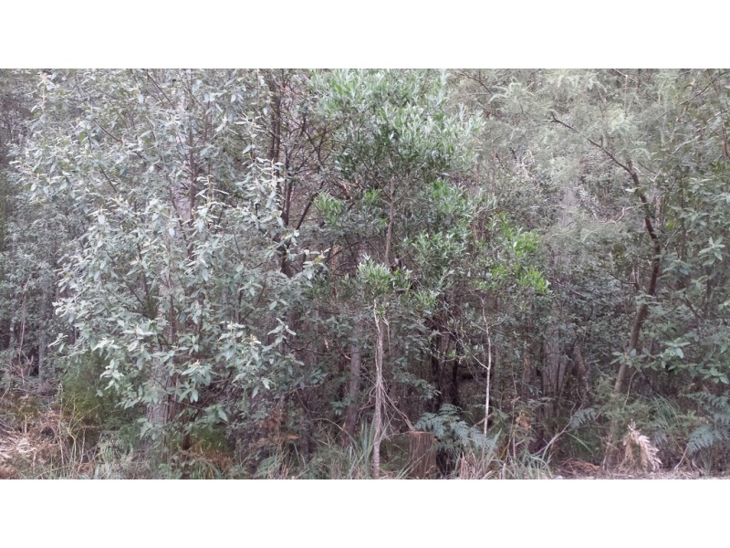 Lot 1 Arthur Highway, Port Arthur TAS 7182