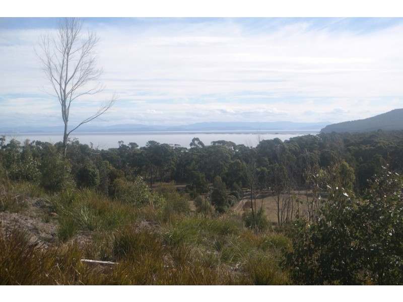 89 White Beach Road, White Beach TAS 7184