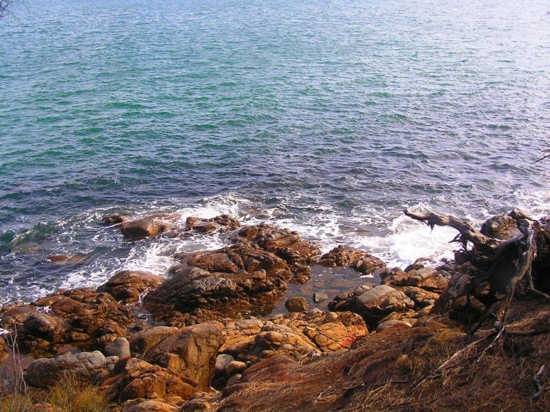 45 Grevillea Street, Primrose Sands TAS 7173