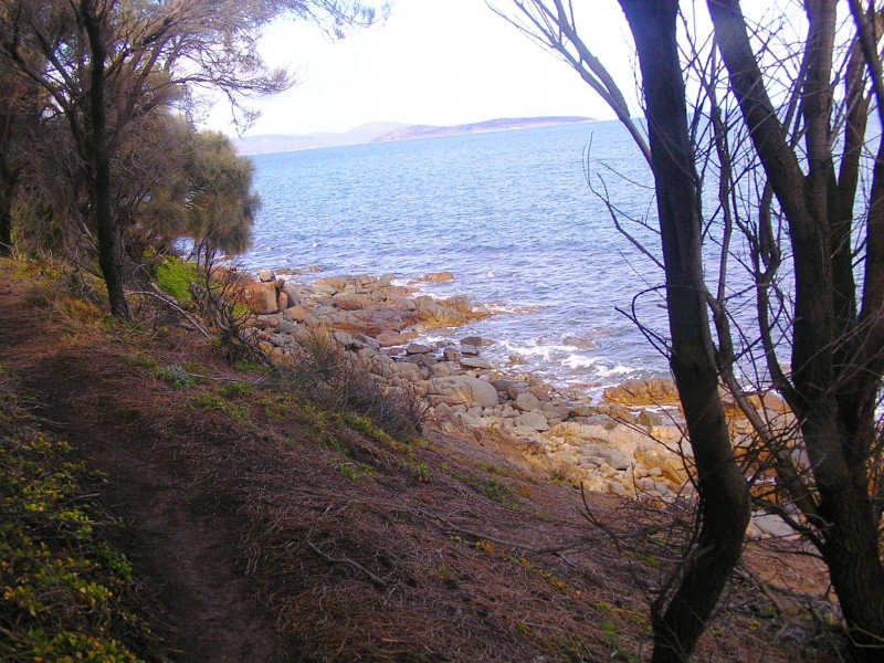 45 Grevillea Street, Primrose Sands TAS 7173