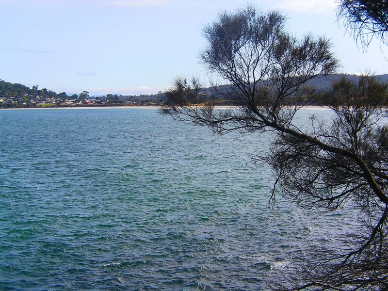 45 Grevillea Street, Primrose Sands TAS 7173