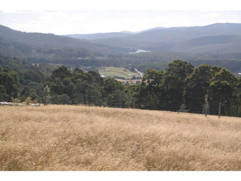 199 Lookout Road, Port Arthur TAS 7182