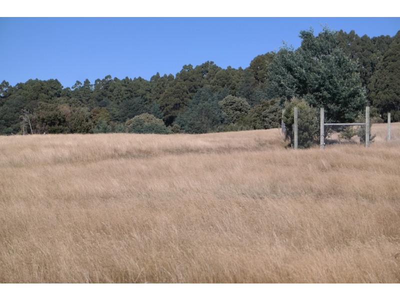 199 Lookout Road, Port Arthur TAS 7182