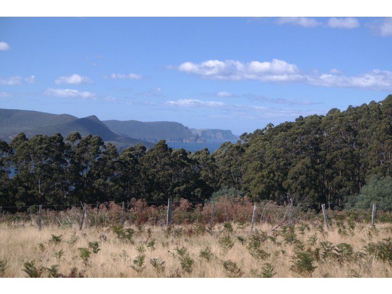 199 Lookout Road, Port Arthur TAS 7182