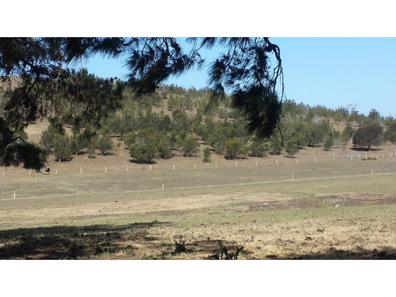 73 East Orielton Road, Orielton TAS 7172