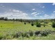 Lots 1-9 Quarry Road, Forcett TAS 7173