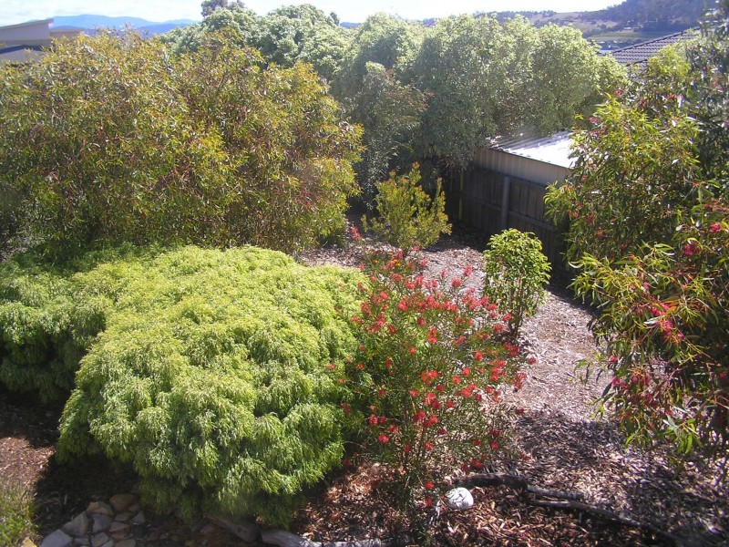 23 Northsun Place, Midway Point TAS 7171