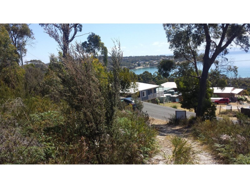 Lot 55 Lagoon Road, White Beach TAS 7184