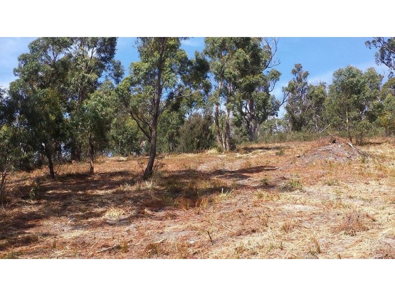 Lot 55 Lagoon Road, White Beach TAS 7184