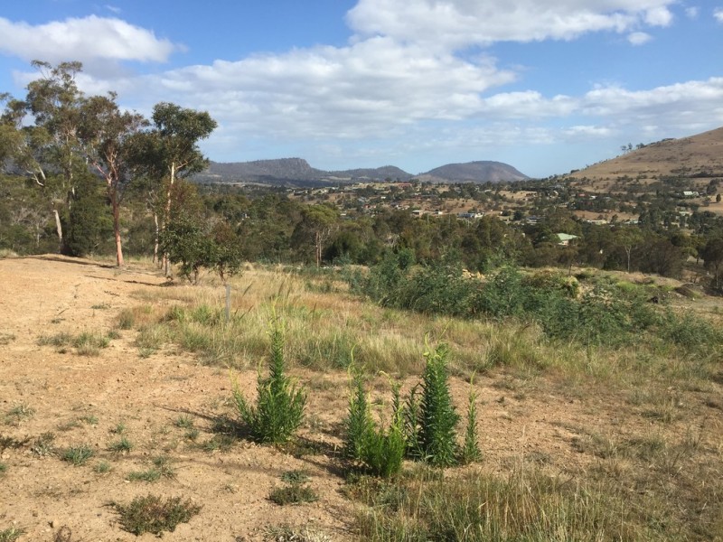52 Landermere Drive, Honeywood TAS 7017