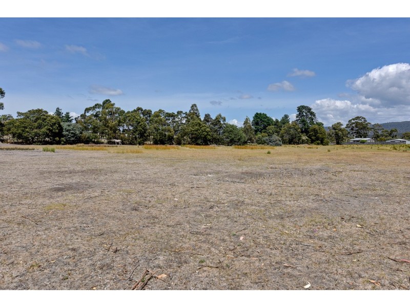 12 Spencer Street, Triabunna TAS 7190