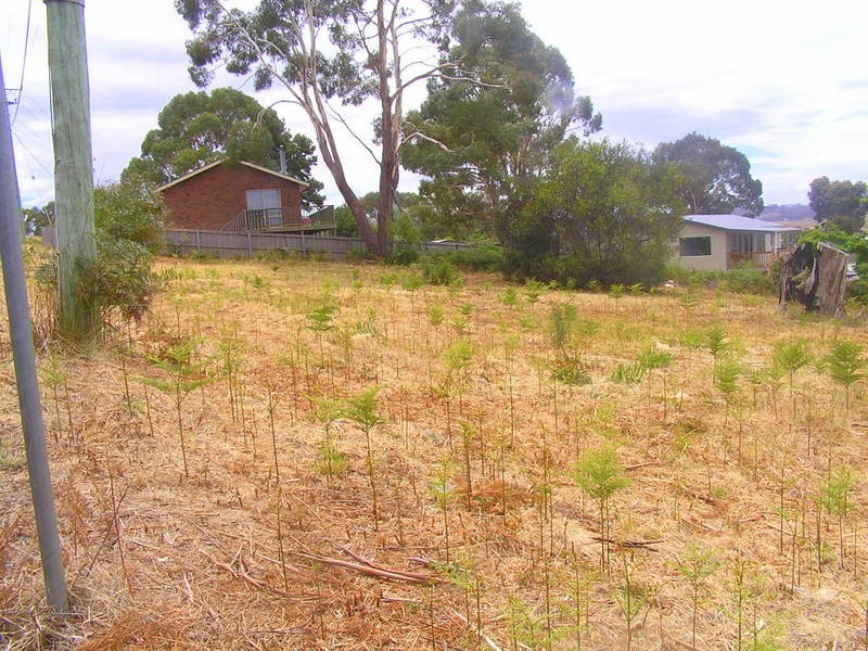 2 Little Falcon Street, Primrose Sands TAS 7173