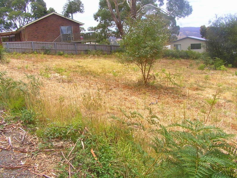 2 Little Falcon Street, Primrose Sands TAS 7173