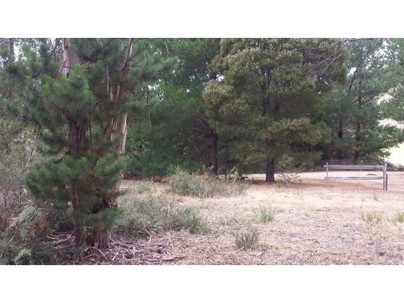 103 White Beach Road, White Beach TAS 7184