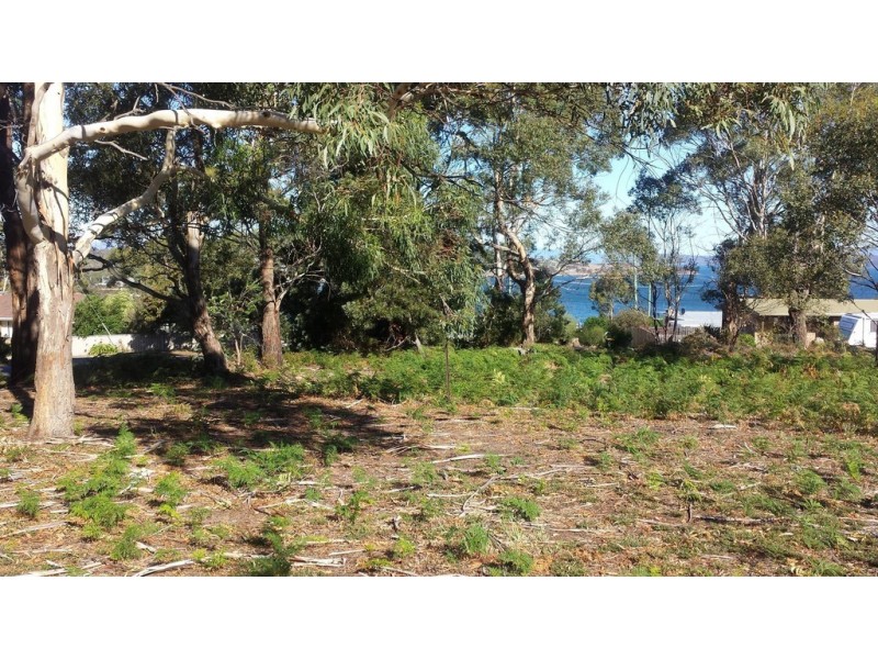 10 Falcon Street, Primrose Sands TAS 7173