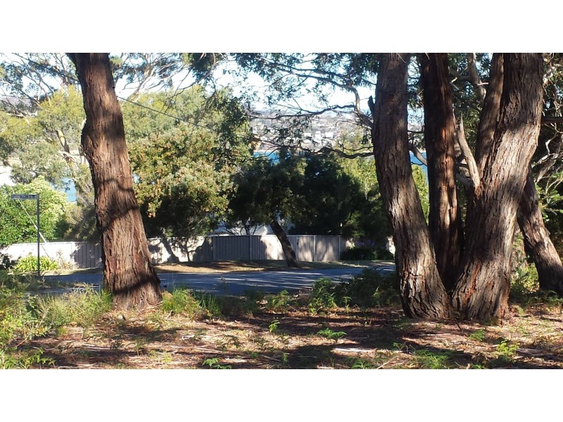 10 Falcon Street, Primrose Sands TAS 7173