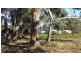 10 Falcon Street, Primrose Sands TAS 7173