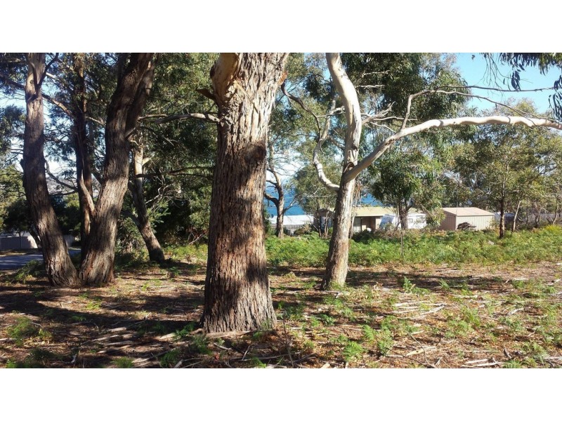 10 Falcon Street, Primrose Sands TAS 7173